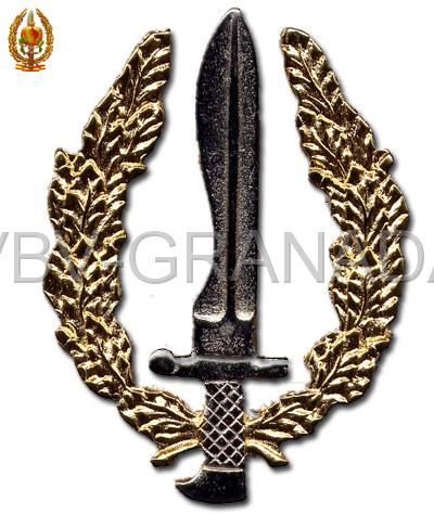 emblema01.jpg