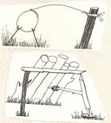 Curiosidades022
