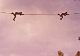 Escalada003