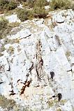 Escalada012