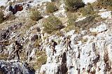 Escalada020