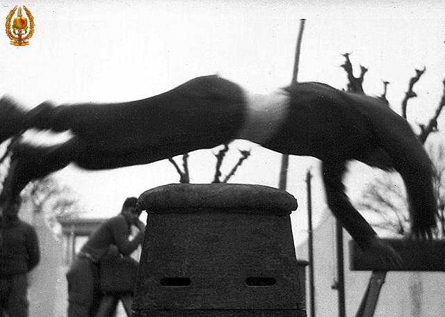 017.jpg