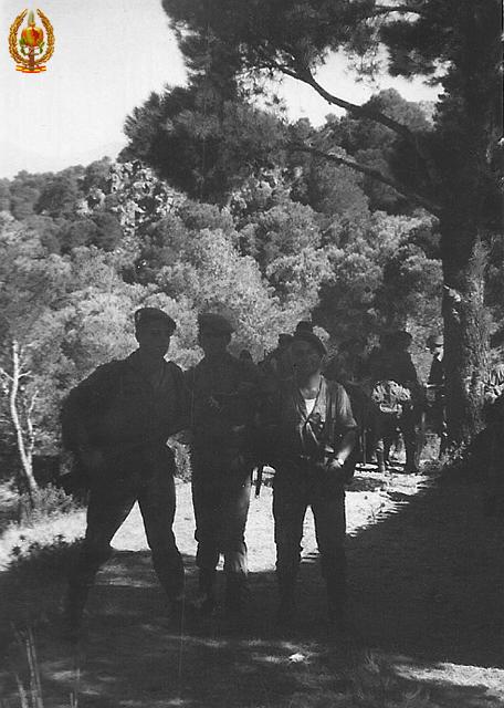 039.jpg