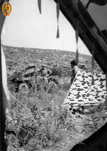046.jpg