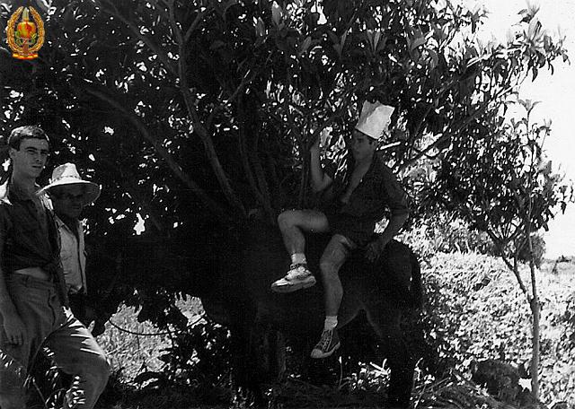 051.jpg
