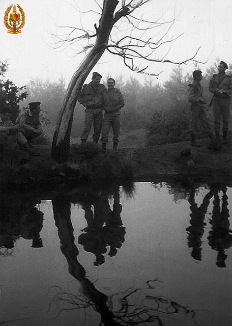 059.jpg