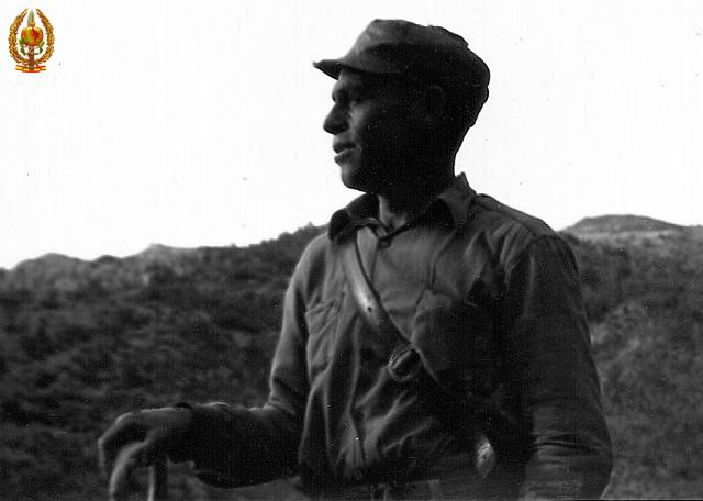 070.jpg