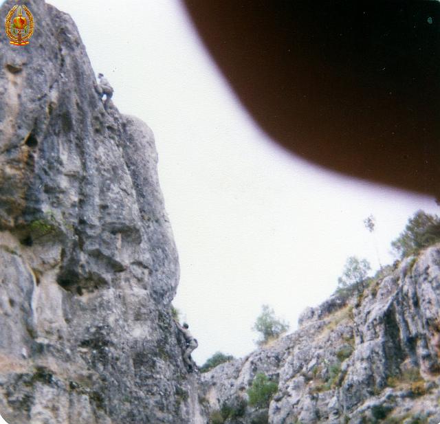 coe024.jpg