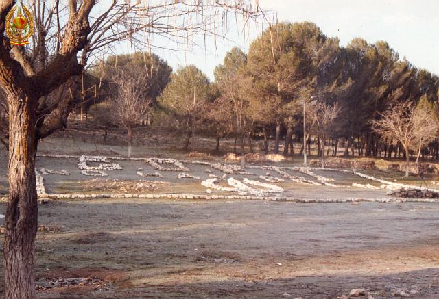 img011.jpg