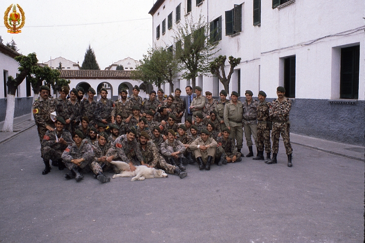 Grupos030.jpg