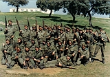 Grupos035