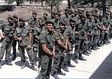 Grupos053