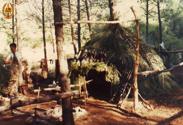 Supervivencia033.jpg